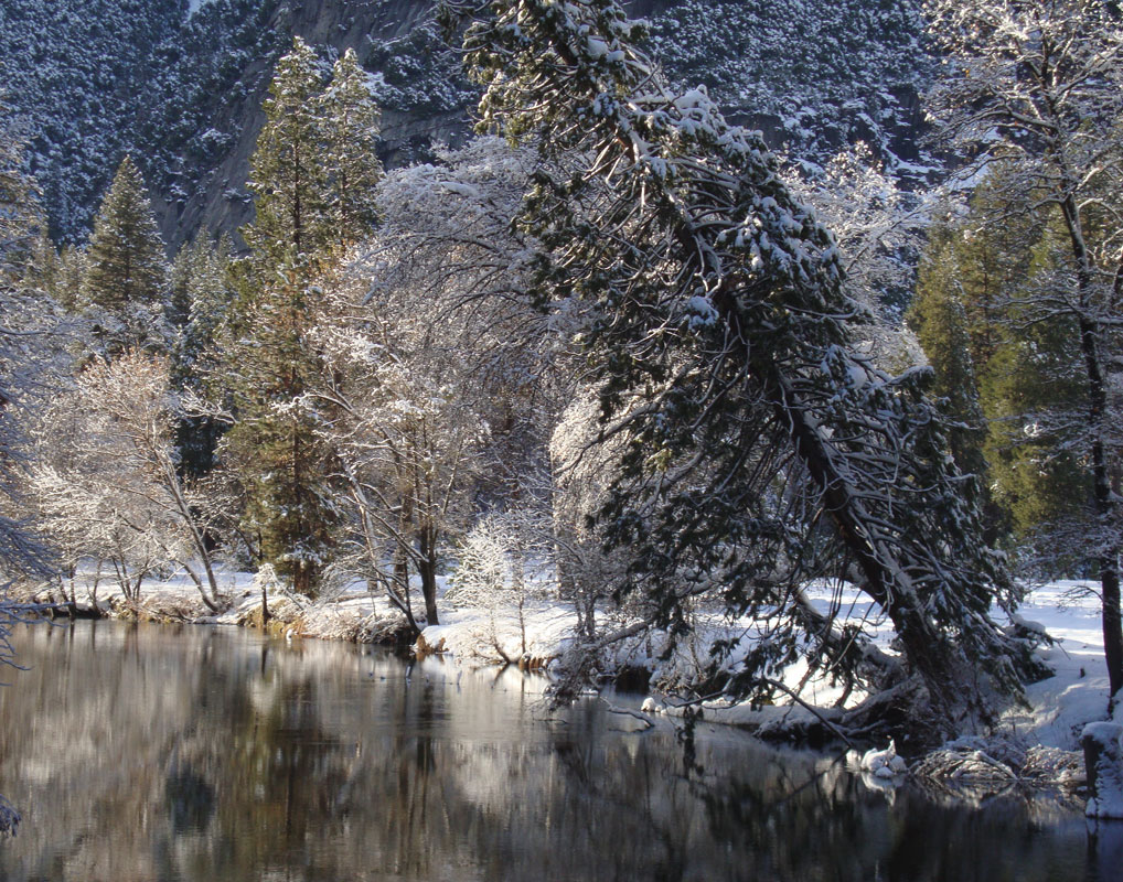 Winter River Bends