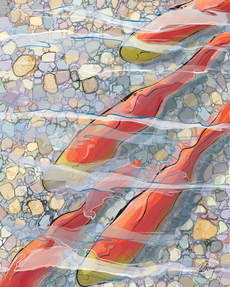 Salmon Swimming Upstream by Donna Pidlubny